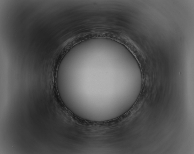 X0000088150821200705141049