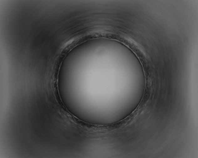 X0000088150822200705141049