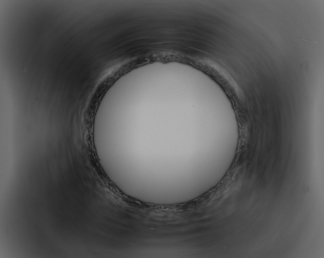 X0000088150823200705141050