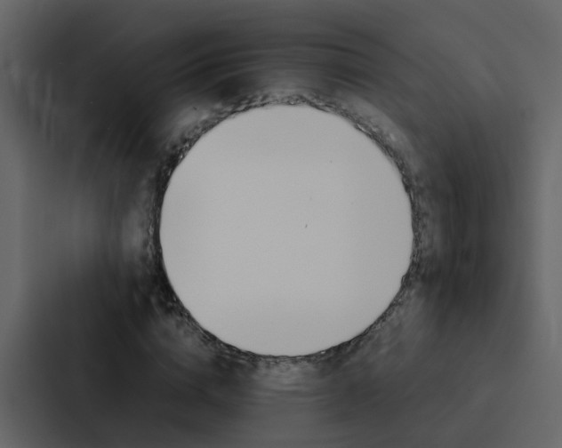 X0000088150824200705141050