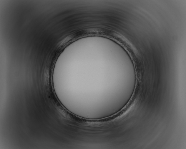 X0000088150825200705141050