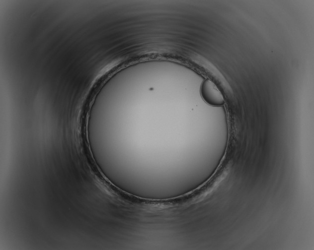 X0000088150826200705141050
