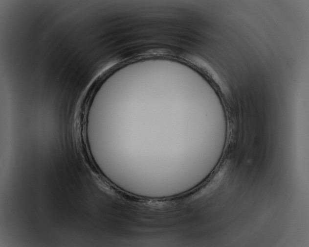 X0000088150827200705141050