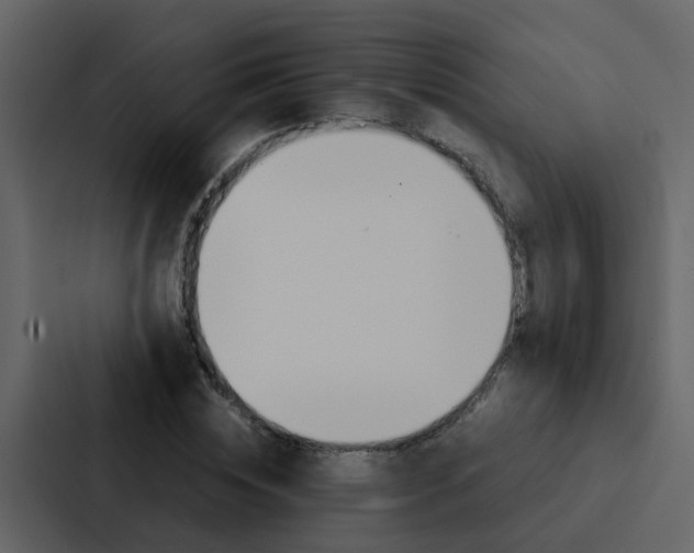 X0000088150828200705141050