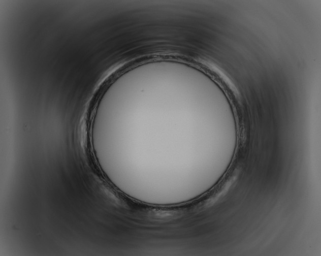 X0000088150829200705141050