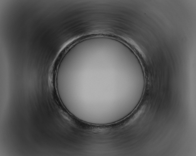X0000088150830200705141050