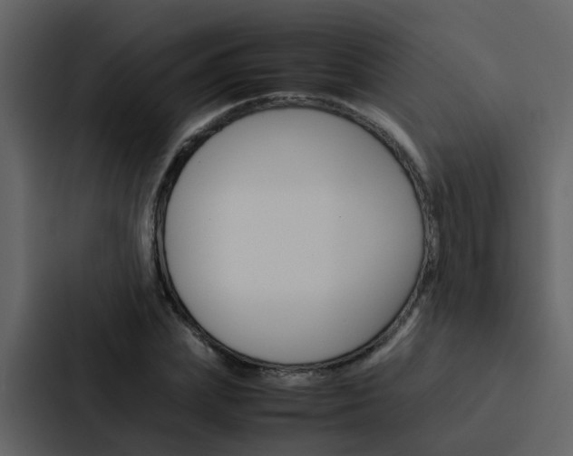 X0000088150831200705141050