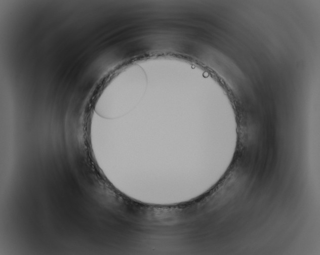 X0000088150832200705141050