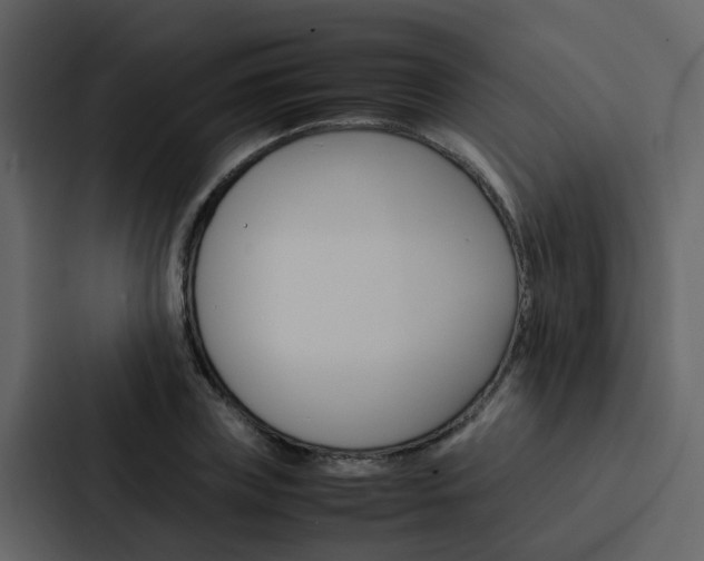 X0000088150835200705141050