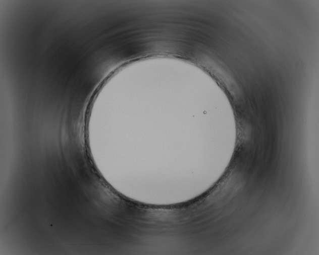 X0000088150836200705141050
