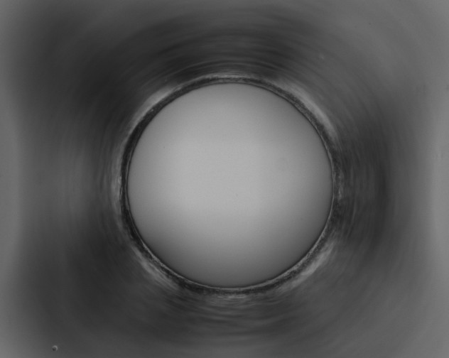 X0000088150837200705141050