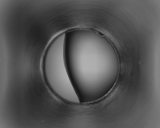 X0000088150838200705141050