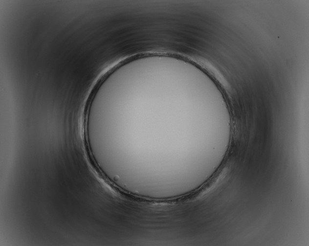 X0000088150839200705141050