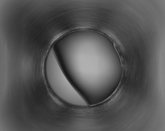 X0000088150842200705141050