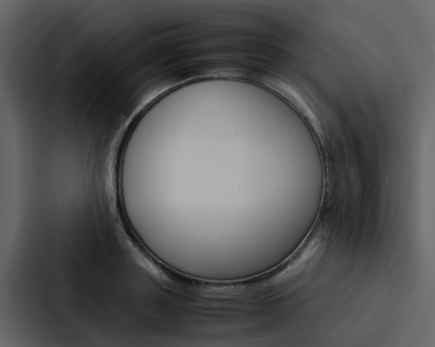 X0000088150843200705141050