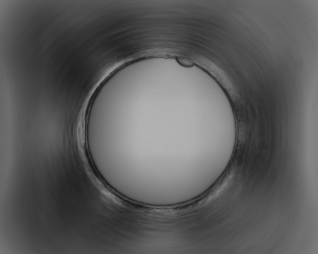 X0000088150844200705141050