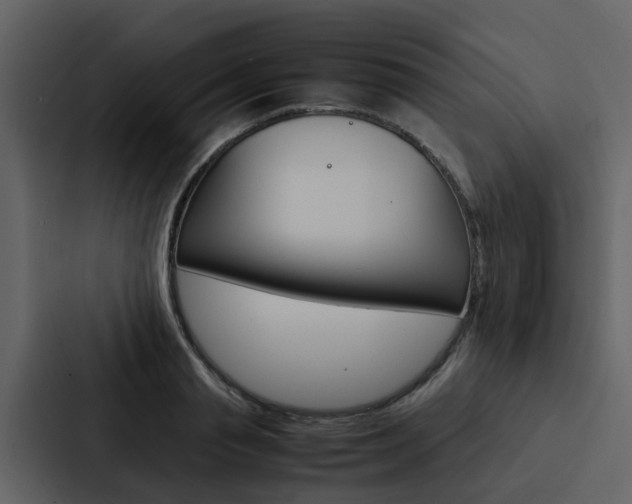 X0000088150845200705141050