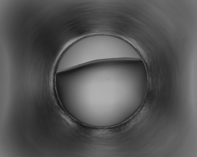 X0000088150846200705141050
