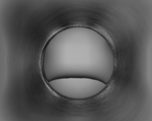 X0000088150847200705141050