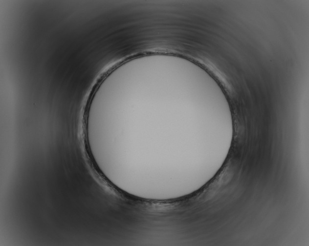 X0000088150848200705141050
