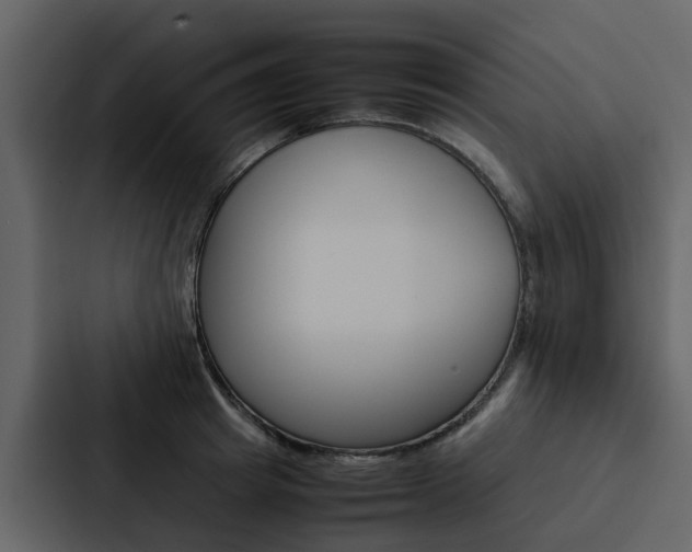 X0000088150849200705141050