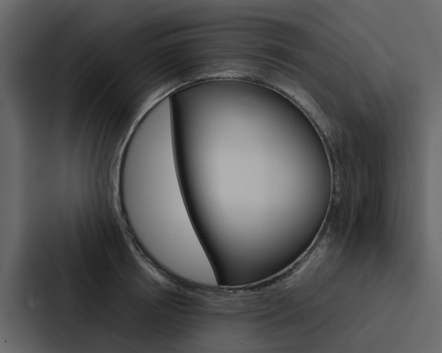 X0000088150850200705141050