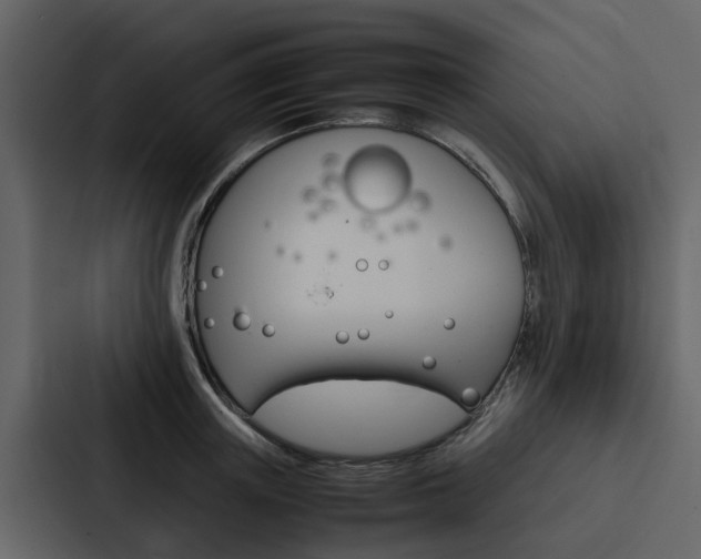 X0000088150851200705141050