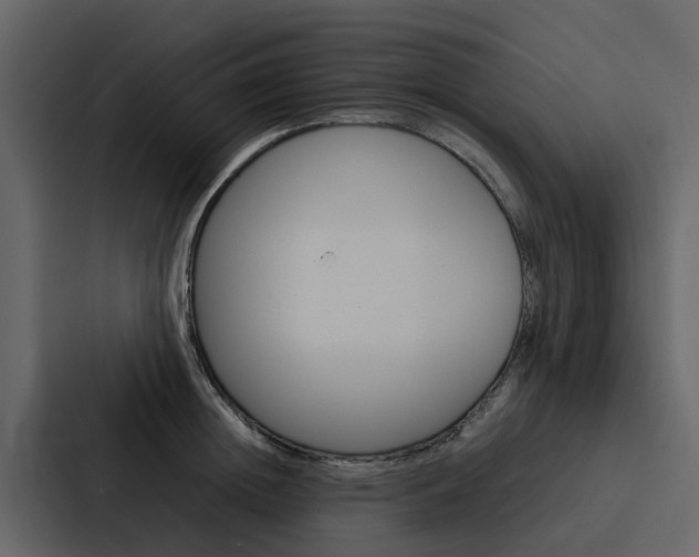 X0000088150852200705141050