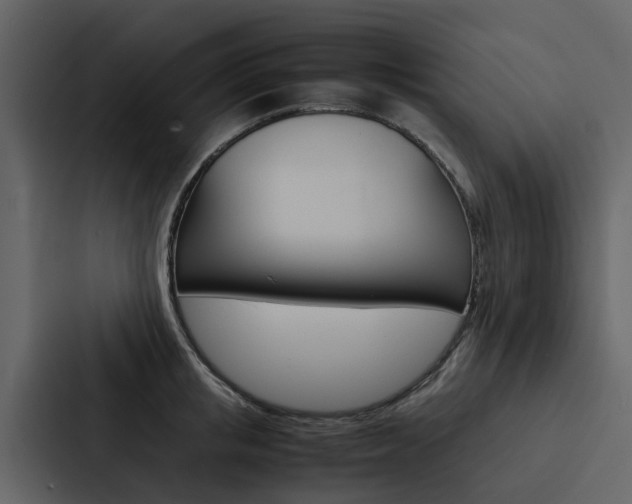 X0000088150853200705141050