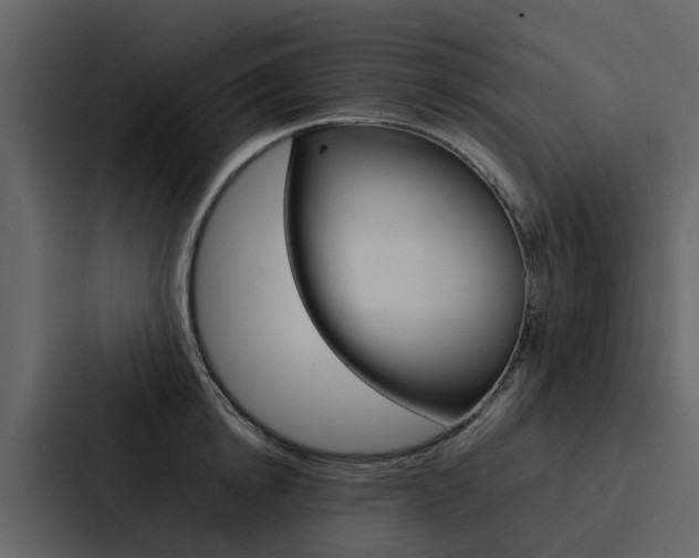 X0000088150854200705141050