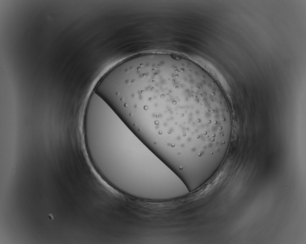 X0000088150855200705141050