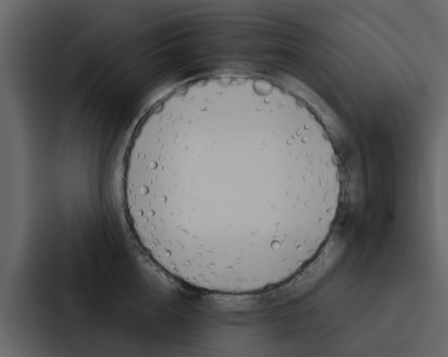 X0000088150856200705141050