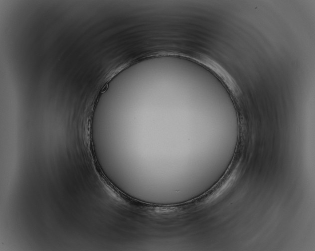X0000088150857200705141050