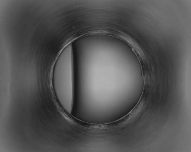 X0000088150858200705141050