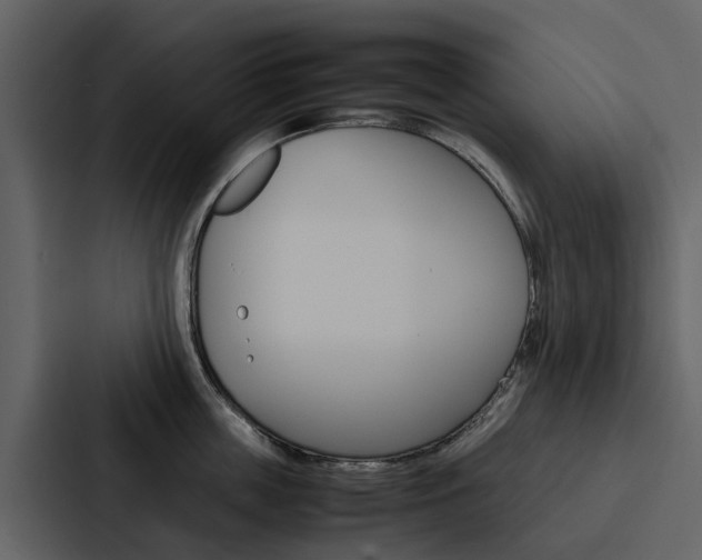 X0000088150859200705141050
