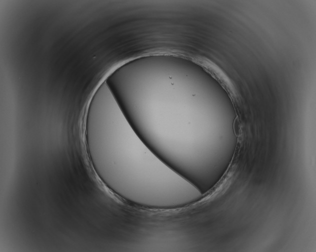 X0000088150860200705141050
