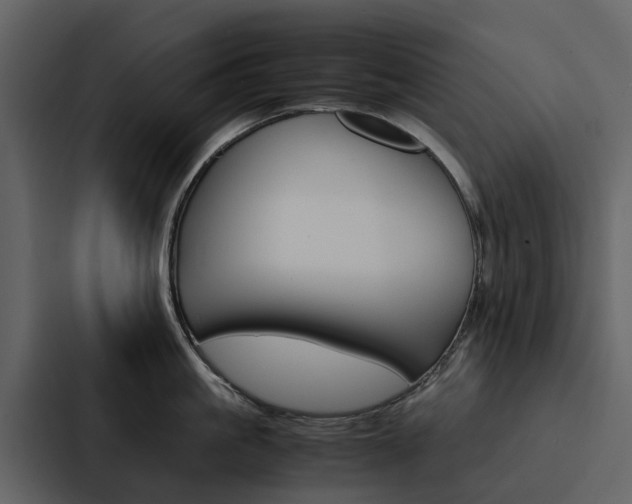 X0000088150861200705141050