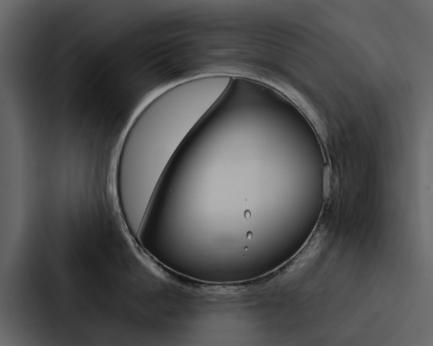 X0000088150862200705141050
