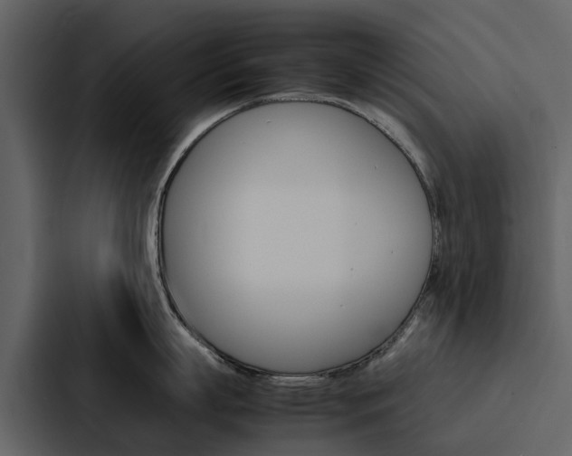 X0000088150863200705141050