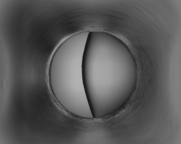 X0000088150864200705141050