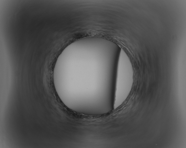 X0000088150865200705141049