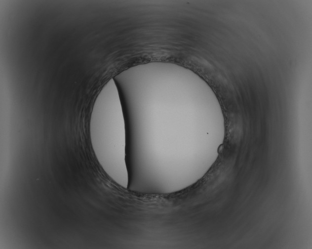 X0000088150866200705141049