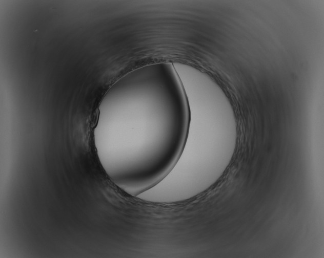 X0000088150868200705141049