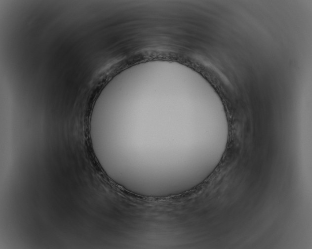 X0000088150870200705141049