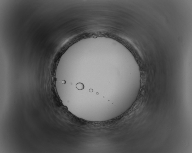 X0000088150871200705141049