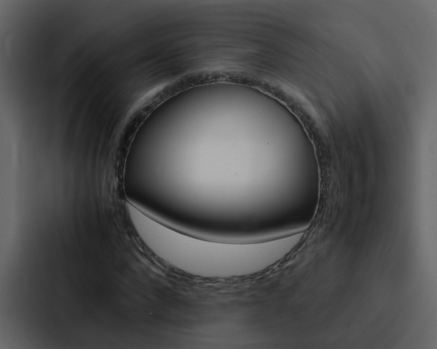 X0000088150872200705141049