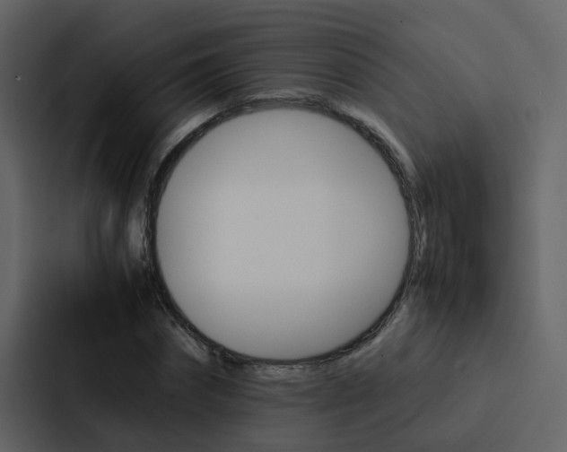 X0000088150874200705141049