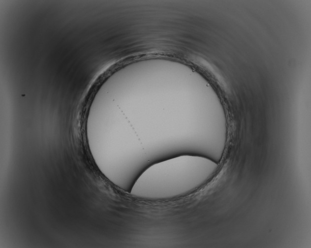 X0000088150875200705141049