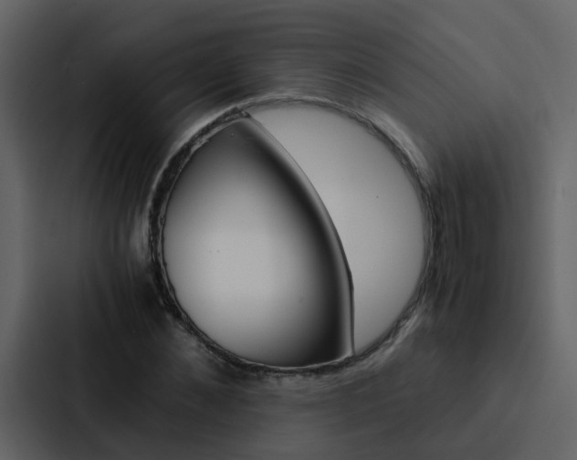 X0000088150876200705141049