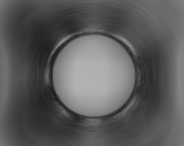 X0000088150878200705141049